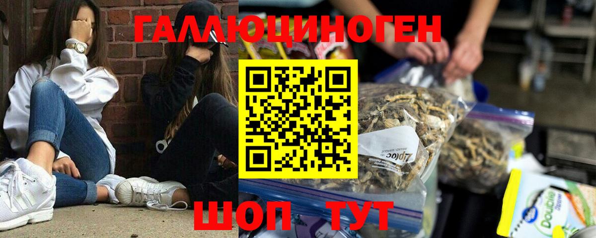 Галлюциногенные грибы мицелий  Галлюциногенные грибы Psilocybine cubensis  Вход с VPN  Дзержинск 